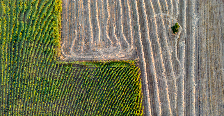 Credit: © iStock/Huseyin Bostanci